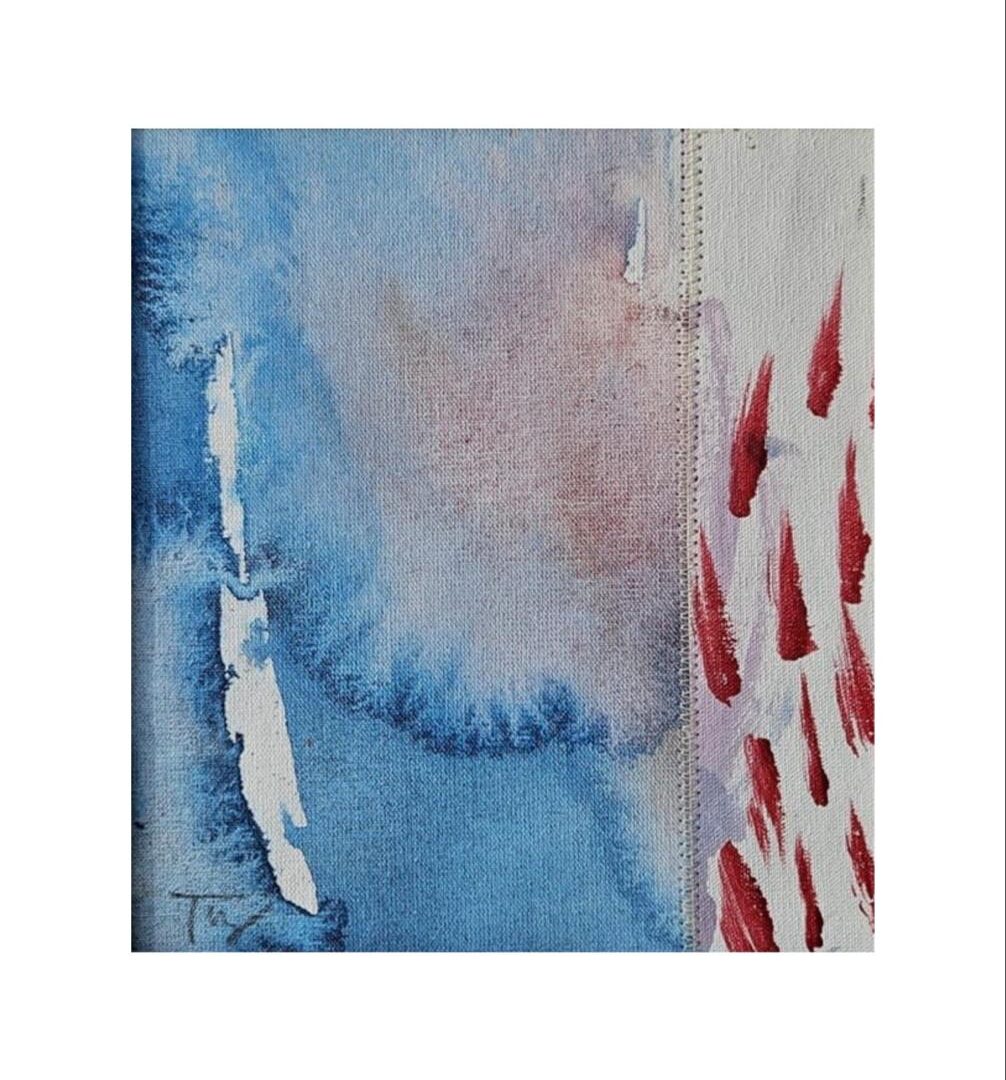 N° VII