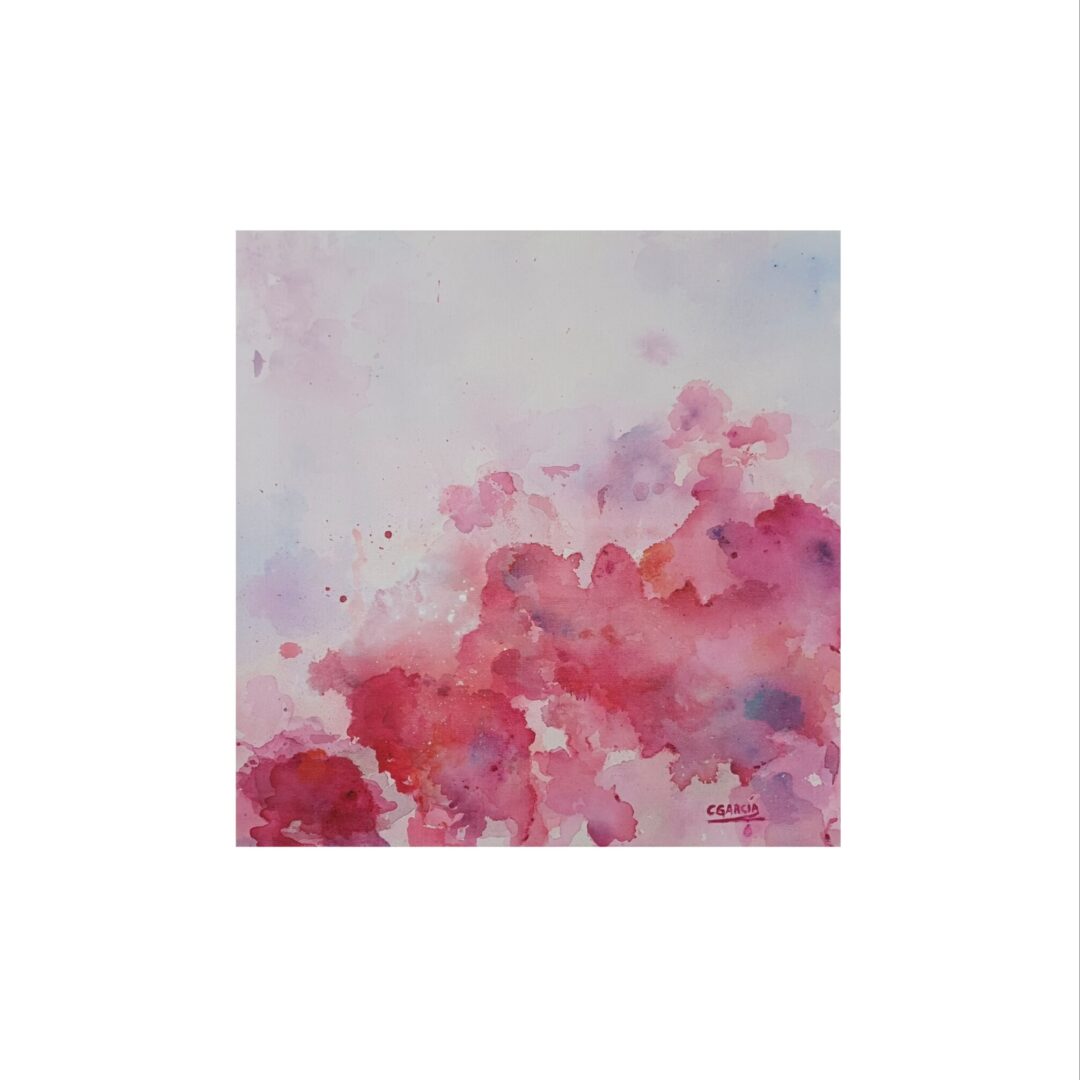 Danza de Fucsias