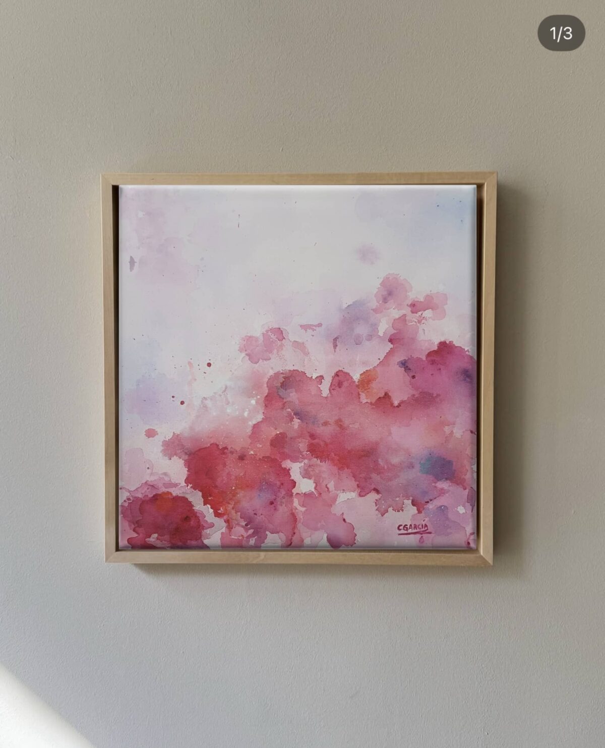 Danza de Fucsias