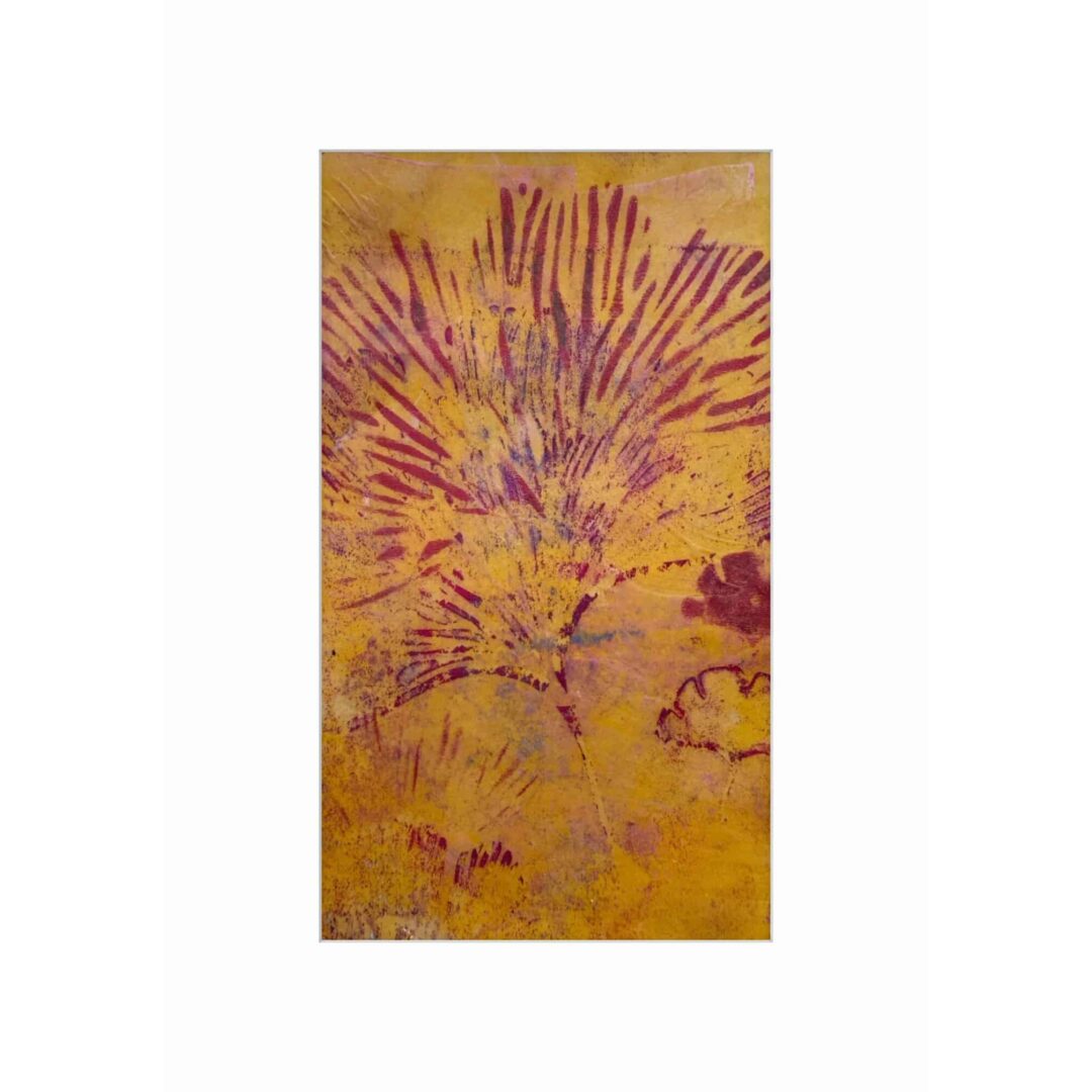 Botanica III